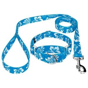 NWT Country Brook Petz Blue Hawaiian floral Martingale Dog Collar and Leash